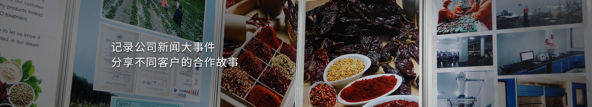 大豐食品：記錄公司新聞大事件，分享不同客戶的合作故事